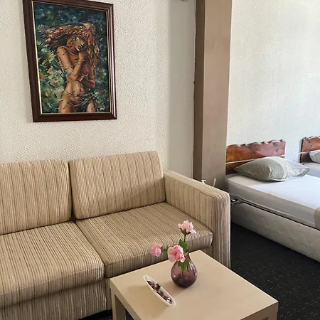 Vel House Hostel *